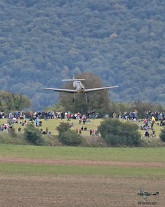 Final approach turns into a go-around. Pure power from a WWII legend: the Messerschmitt Bf 109 E-4. #Messerschmitt #Bf109 #Bf109E4 #WWIIAviation #Warbird | Warbirds