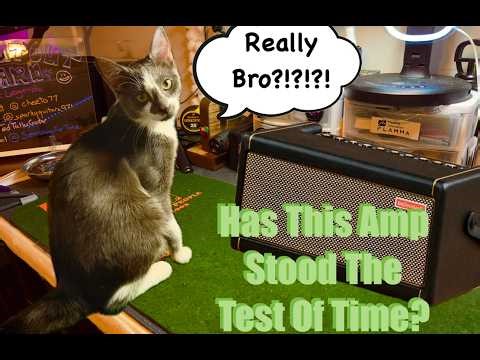 The Positive Grid Spark 40 Is 6 yrs Old Why Have I Never Played One Of These