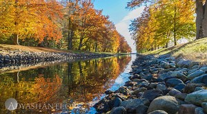 GUIDED MEDITATION: THE VAST OPEN SPACE OF CONSCIOUSNESS Adyashanti leads this guided meditation focusing on experiencing this moment fully. By allowing this moment to be what it is, you step out of reactivity and into the open, vast space of consciousness. Excerpted from August 2017, “Tahoe Silent Retreat Vol. 59 ~ Meditations”: https://bit.ly/2Yq0ckh Quote from this Video: “Each moment, each sound, each feeling, each thought is a moment of form. Notice how every moment of form arises in this va