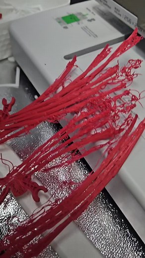 What failure looks like #3dprinting #3d #3dprint #bambuletsmakeit | Caleb Lyles