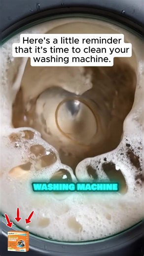 EcoPure Lab Washing Machine Cleaner Review