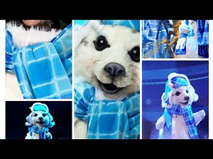 The Masked Singer Seal All Performances & Reveal | TMK 🦭