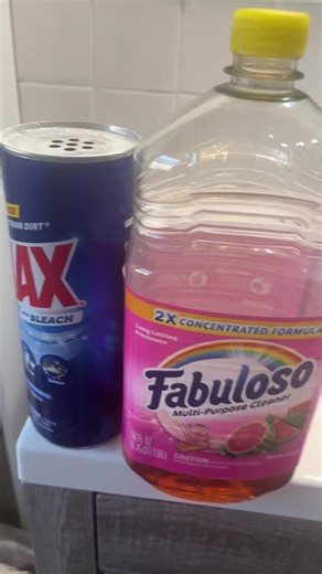 Cleaning Tips for a Sparkling Home