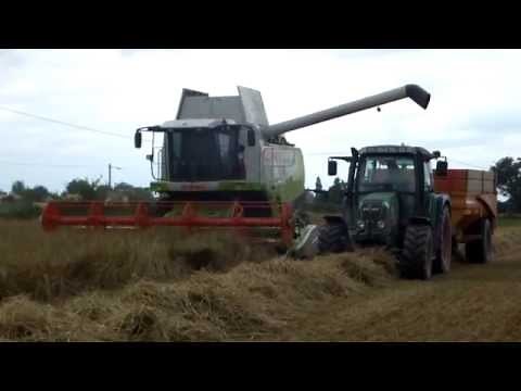 moisson 2014 avec moissonneuse-batteuse claas lexion