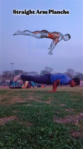 I Tried the Planche Challenge for 30 Days! 😱 #Planche #Calisthenics #viral #shorts