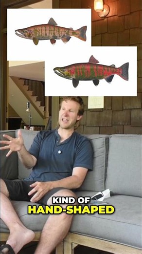 Cherry Salmon