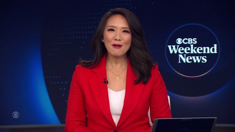 Escaped zebra captured in Tennessee