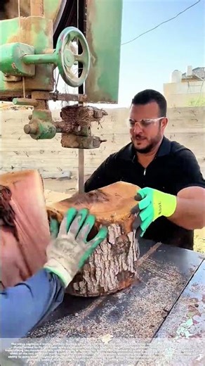 Slicing the Grain: How a Bandsaw Masters the Ancient Art of Lumber Milling