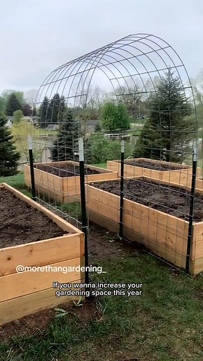 3.9K reactions · 42 shares | This is the proper way to build a cattle panel trellis—sturdy enough for heavy squash, tall enough for pole beans, and simple enough to knock out in an afternoon. Most people overcomplicate it or skip key steps that matter. Follow this method exactly and you'll have a structure that handles whatever you throw at it for seasons to come. | Learn Gardening | Facebook