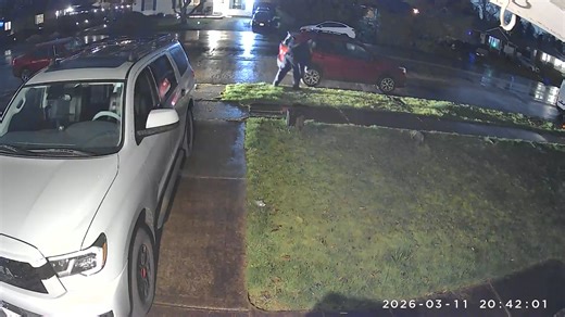 Video captures person slashing tires in Gladstone area