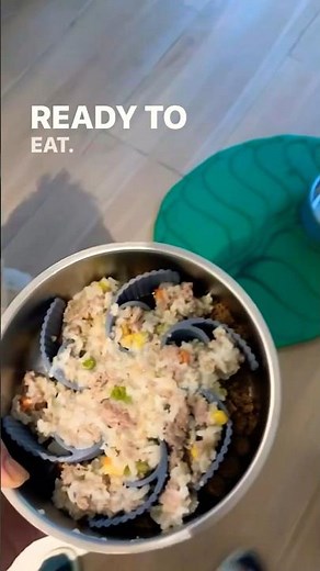 Simple recipe for making ground turkey dog food using an Instant Pot! 🐶 #dogfoodrecipe #puppyhealth