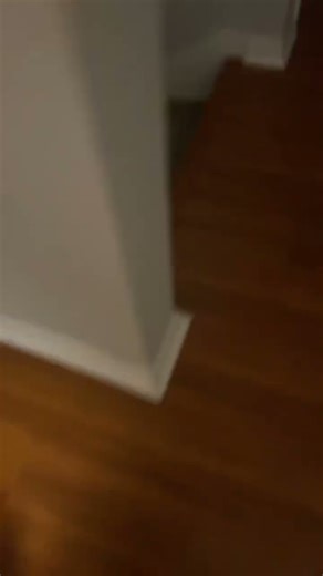 I fell down #memes #funny