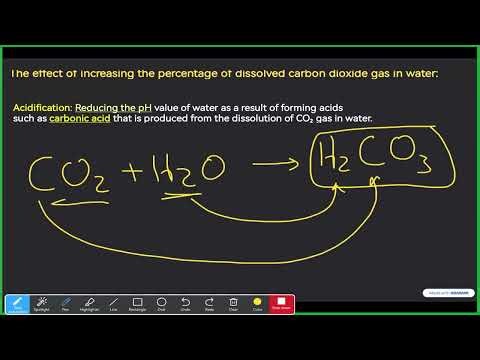 S1 | Unit 1| Lesson 7 Part 2 |