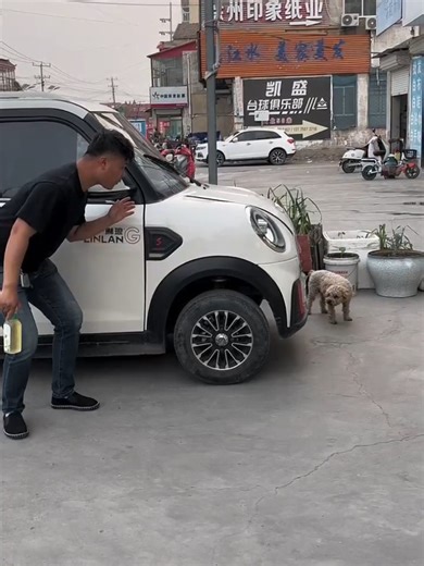Hilarious Dog Sound Prank Fun