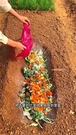 Tips for composting rotten vegetables to make your vegetable plot more fertile with use#Ve