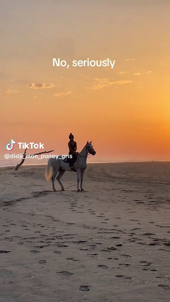 Juste une ÎLE MAGNIFIQUE 🏝️ #horse #equestrian #pourtoi #foryou #horsegirl #plage #ile #soleil #libre #bestlife #sunsetlover