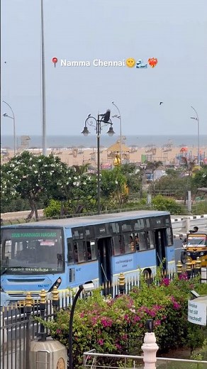 🌊Marina Beach - Namma Chennai🌞❤️‍🔥 Chennai Vibes View From📍Vivekanda House #shorts