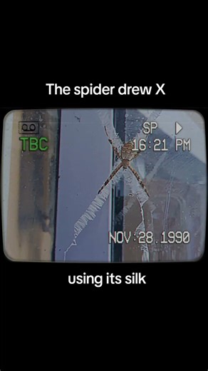 X spider