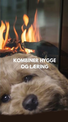 Finn på noe nytt inne i høstferien #onlinekurs #nettkurs #onlinecourse #leathercraft