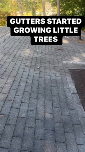 These gutters get cleaned every year imagine the ones that don’t get cleaned #explorepage #fyp #satisfying | Grass kicking landscaping