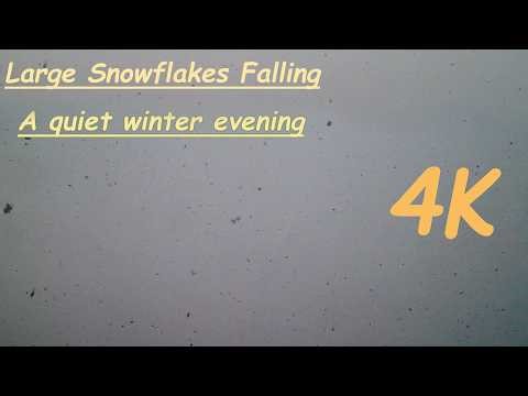 4K Relaxing Winter Snowfall | Big Snowflakes Falling From The Sky