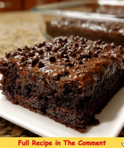 59K views · 503 reactions | Chocolate Dump Cake Rich, gooey layers of warm chocolate pudding, cake mix, and melty chocolate chips — simple to make and impossible to resist! Ingredients 1 box chocolate cake mix 1 box instant chocolate pudding mix 1 cup semi-sweet chocolate chips ...... Recipe in First Coʍmеոτ  | Random Recos | Facebook