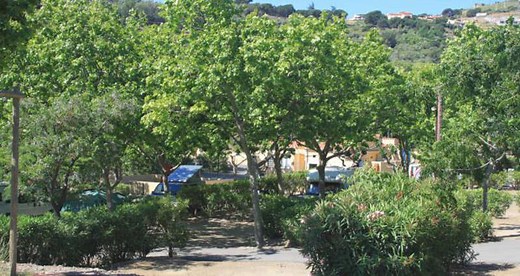 CAMPING MUNICIPAL LA PINEDE - Banyuls-sur-Mer