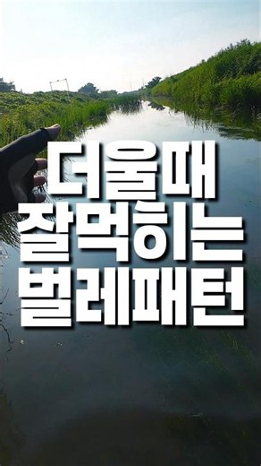 날 더워지니 탑워터 벌레패턴 #잇세이 #피쉬맥스 #마리수 #배스낚시 #루어낚시 #배스 #루어 #bassfishing #lurefishing #bass #バス釣り #バスフィッシング