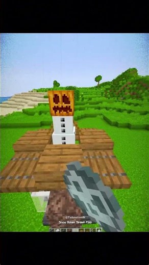 Minecraft Snow Golem Defense Tower Moment