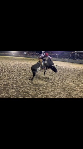 Highlight reel of our Open Bulls performance at the NRA finals round 2 in Stanthorpe #cowboy #cowboyup #becowboy #bullriding #bull #buckingbulls #foryou #fyp #foryoupage #roughstock #viralvideo #trending #builtdifferent #rodeo #tiktok