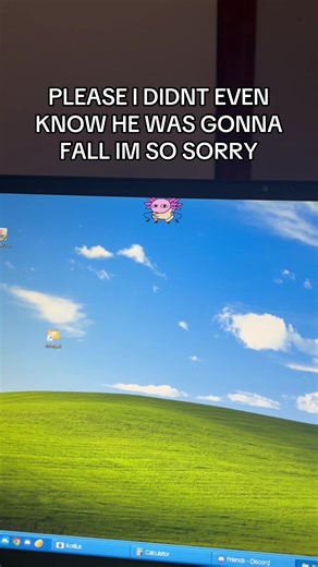 #kinitopet #shimjei #thefuck