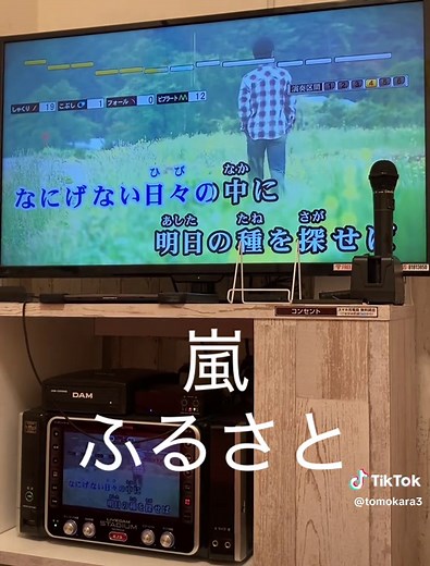 嵐のふるさとをカラオケで歌ってみた