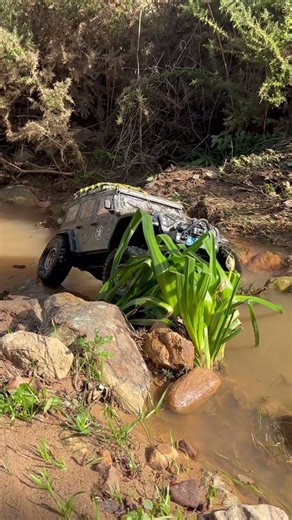 Crawler Rc/ absima Sáhara 1/8 // Jeep rubicon 🔥🔥🔥