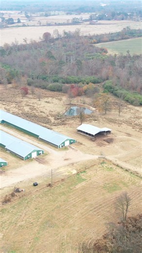 38K views · 428 reactions | Brothers L&D Farm is a four-house farm in Marshall County, Alabama. The poultry houses were built in 2004 and are 40x500 and grows for Koch Foods. The farm also includes a three-bed/two-bath and a large shed. Interested in this listing? Contact the PoultrySouth team at Southeastern Land Group today to learn more! www.poultrysouth.com/property/brothers-ld-broiler-farm #poultrysouth #teampoultrysouth #poultrysouthlisting #northalabama | PoultrySouth | Facebook