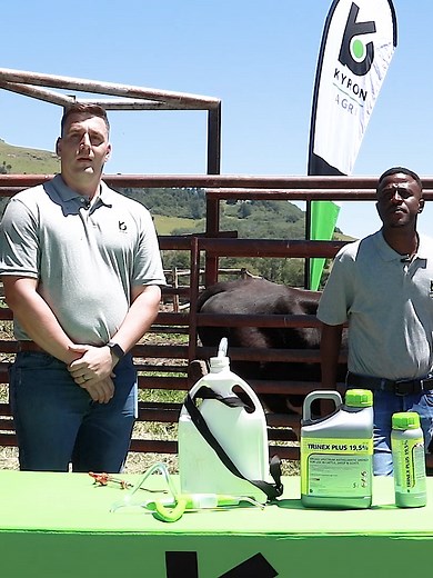 Trinex Plus 19,5% - roundworms, liver fluke #Kyron #kyronagri #trinexplus #roundworms #liverfluke #liverfluketreatment