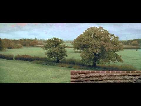 More Than Freeman "Roof"