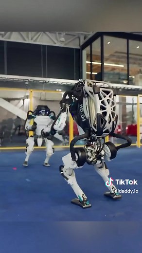 The Future of Robotics and Artificial Intelligence