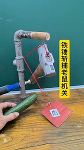 Hammer killing the mouse #OMG#viralchallenge#love#amazing | Meaningful Cartoons