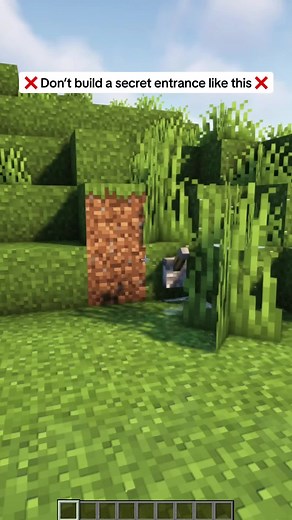 Secret Minecraft Door Build Hacks