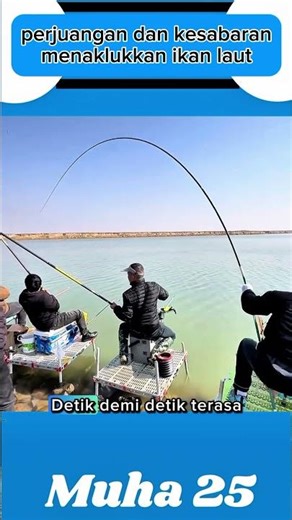 THE STRUGGLE TO CONQUER SEA FISH #shorts