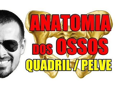 Hip Bone Accidents (Pelvis or Pelvic Bone) - Bone/Skeletal System - Video Lesson 056