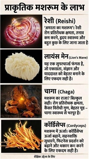प्राकृतिक मशरूम के जादुई लाभ (Health Benefits of Reishi, Chaga & Cordyceps)