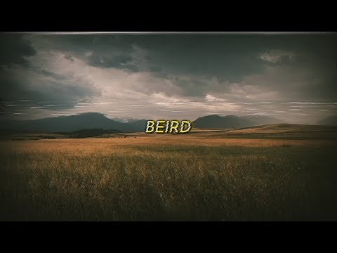 Jack Stauber - Beird (sub español/lyrics)