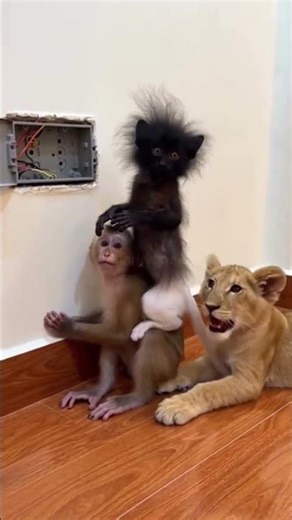 POV: Friends Fixing Electricity Gone Wrong ⚡🤣 | Insane Meme