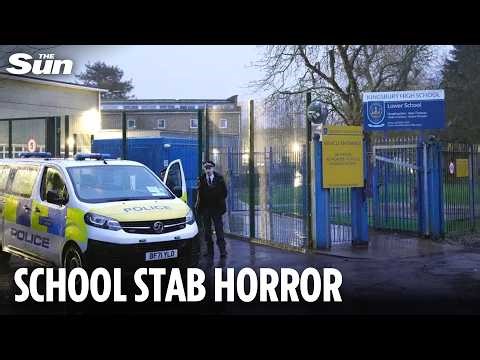 Two boys stabbed in London classroom as teen, 13, arrested for attempted murder