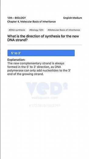 DNA Synthesis Direction Biology 12th Molecular Basis of Inheritance