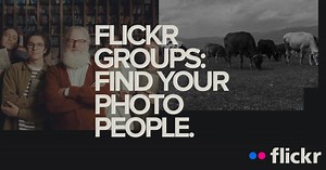 Flickr Groups | Find your photo people.
