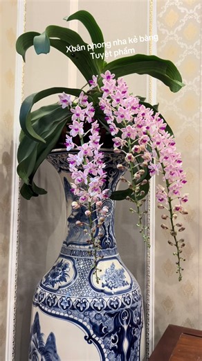 Thêm yêu mùa xuân hơn khi có em. Tiếc rằng đó chỉ là điều ước 🌷🌷🌷