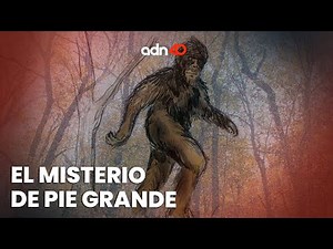 Pie grande o BigFoot y los primeros casos paranormales | Ciudad misteriosa