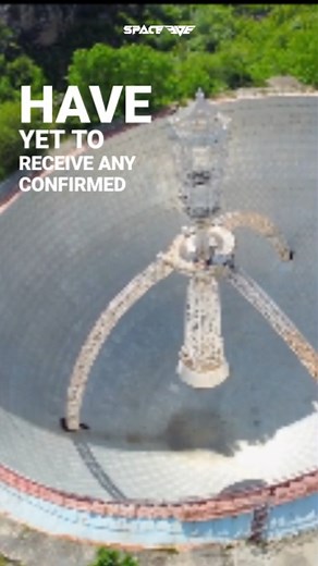 2.8K views · 32 reactions | Ever wondered if our messages to the...